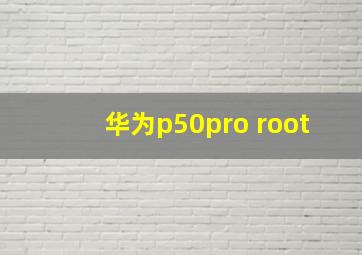 华为p50pro root